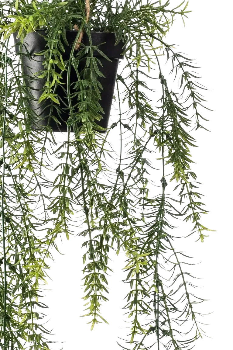 Künstlicher Hänge-Zierspargel - Kilian, 50 cm, Kunstpflanze von aplanta, inkl. Dekotopf, im schwarzen Topf, in Natur