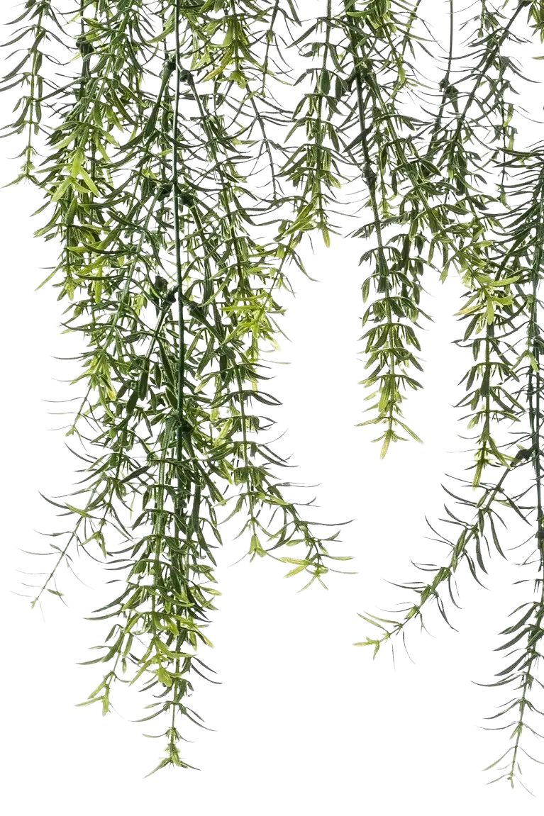Künstlicher Hänge-Zierspargel - Kilian, 50 cm, Kunstpflanze von aplanta, inkl. Dekotopf, im schwarzen Topf, in Natur
