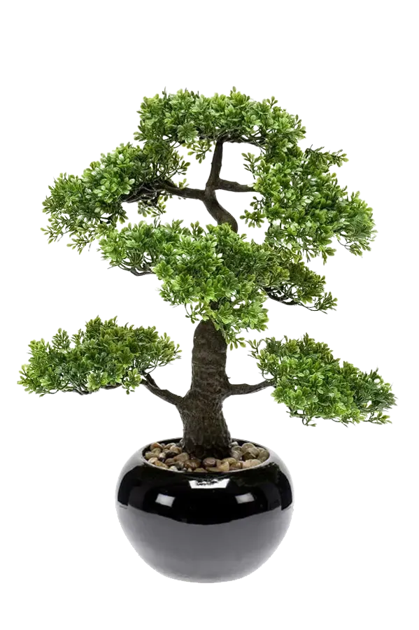 Künstlicher Ficus Bonsai - Sota, 47 cm, Kunstpflanze von aplanta, inkl. Dekotopf, in Natur, für drinnen