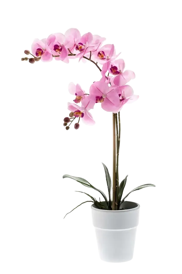 Künstliche Orchidee - Dolores, 65 cm, Kunstblume von aplanta, inkl. Dekotopf, in Pink, für drinnen
