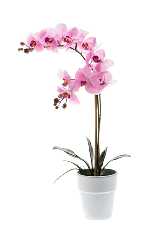 Künstliche Orchidee - Dolores, 65 cm, Kunstblume von aplanta, inkl. Dekotopf, in Pink, für drinnen