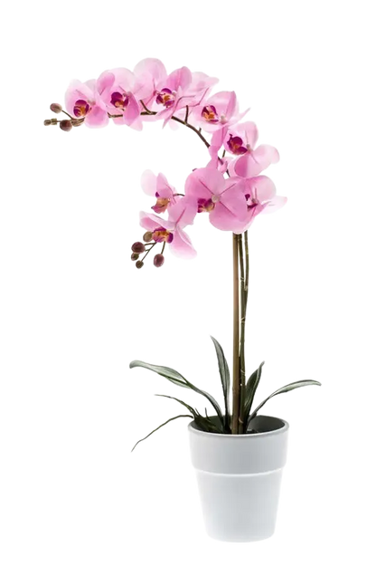 Künstliche Orchidee - Dolores, 65 cm, Kunstblume von aplanta, inkl. Dekotopf, in Pink, für drinnen