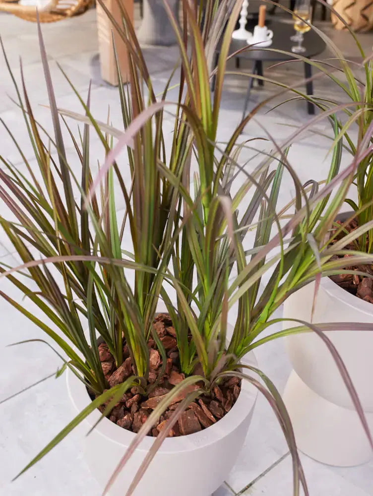 Künstliches Gras - Kuzey, 115 cm, Kunstpflanze von aplanta, UV-beständig, im schwarzen Topf, in Natur, für draußen