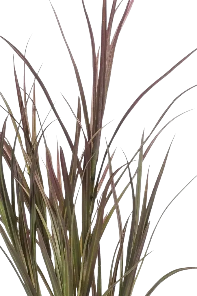 Künstliches Gras - Matilda, 90 cm, Kunstpflanze von aplanta, UV-beständig, im schwarzen Topf, in Natur, für draußen