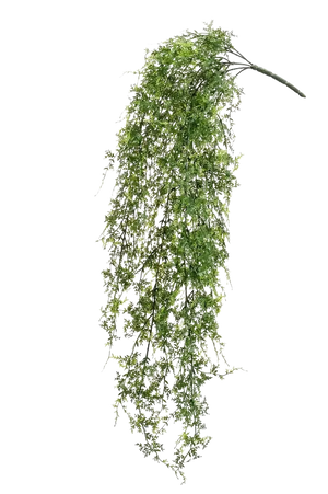 Künstlicher Hänge-Farn - Katharina, 80 cm, Kunstpflanze von aplanta, UV-beständig, Steckpflanze, in Natur, für draußen