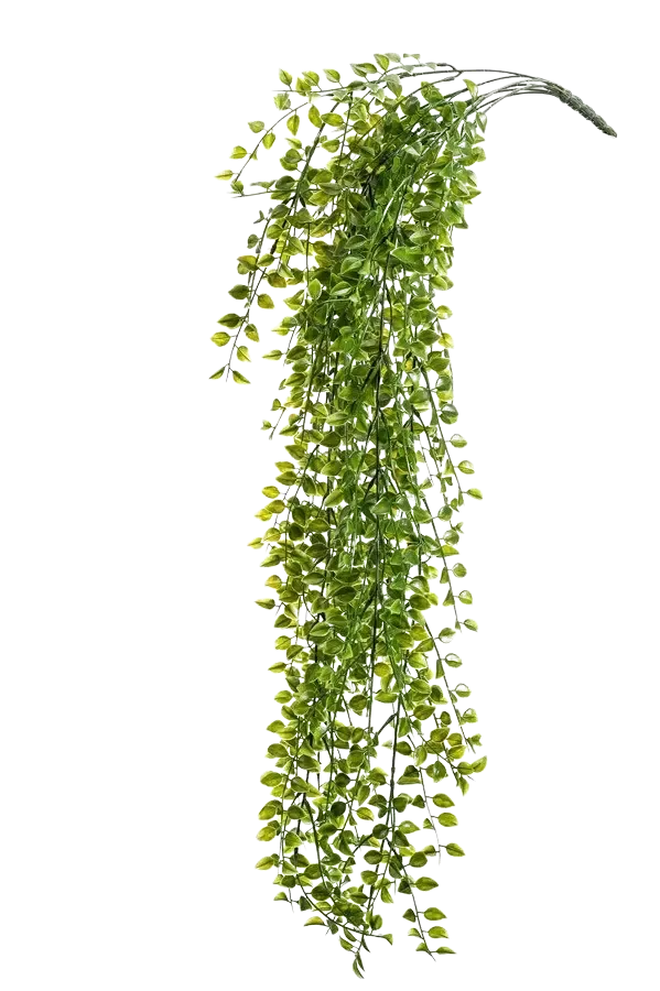Künstlicher Hänge Kletterficus - Keno, 80 cm, Kunstbaum von aplanta, UV-beständig, Steckpflanze, in Natur, für draußen