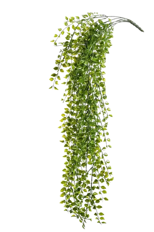 Künstlicher Hänge Kletterficus - Keno, 80 cm, Kunstbaum von aplanta, UV-beständig, Steckpflanze, in Natur, für draußen