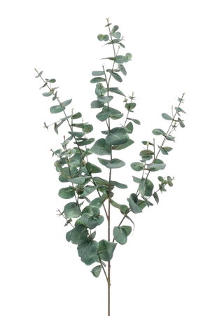 Künstlicher Eukalyptus Zweig Coa, 72 cm, Kunstbaum von aplanta, feuerhemmend, Steckpflanze, in Grün, für drinnen