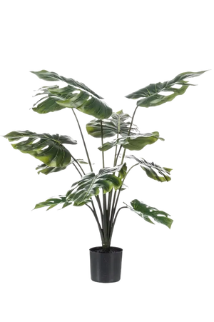 Künstliche Monstera - Karl, 80 cm, Kunstpflanze von aplanta, Real Touch, im schwarzen Topf, in Natur, für drinnen