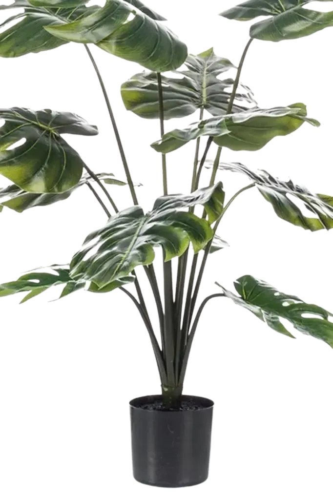 Künstliche Monstera - Karl, 80 cm, Kunstpflanze von aplanta, Real Touch, im schwarzen Topf, in Natur, für drinnen