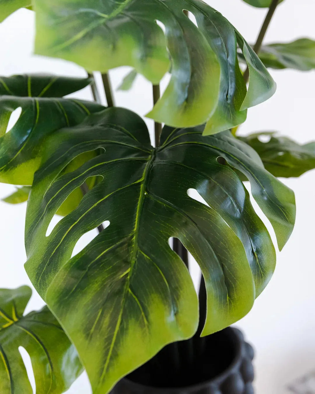 Künstliche Monstera - Karl, 80 cm, Kunstpflanze von aplanta, Real Touch, im schwarzen Topf, in Natur, für drinnen