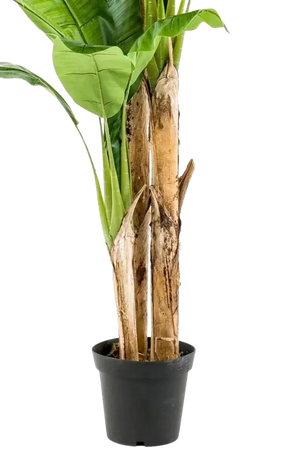 Künstlicher Bananenbaum - Maliora, 210 cm, Kunstbaum von aplanta, UV-beständig, inkl. Startertopf, in Grün, für drinnen