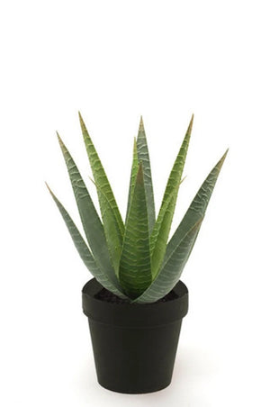 Künstliche Aloe - Patty, 30 cm, Kunstpflanze von aplanta, im schwarzen Topf, in Natur, für drinnen