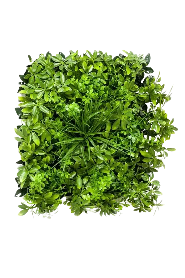 Künstliche Schefflera Matte - Malte, 5 cm, Kunstpflanze von aplanta, UV-beständig, in Natur, für draußen