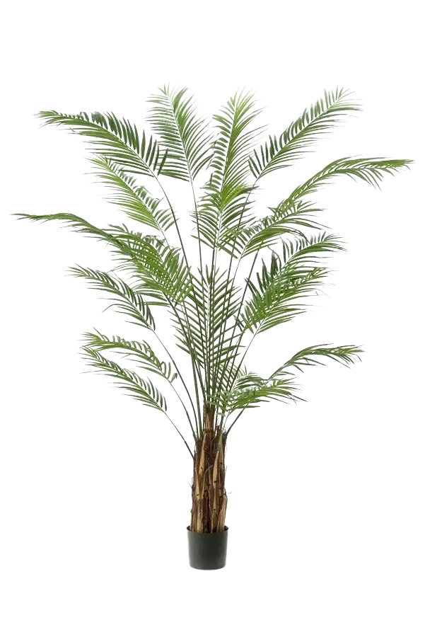 Künstliche Areca Palme - Isaiah, 240 cm, Kunstbaum von aplanta, im schwarzen Topf, in Natur, für drinnen