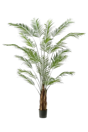 Künstliche Areca Palme - Isaiah, 240 cm, Kunstbaum von aplanta, im schwarzen Topf, in Natur, für drinnen