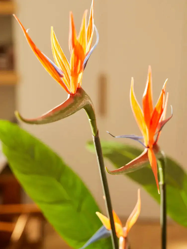 Künstliche Strelitzia - Constantin, 120 cm, Kunstbaum von aplanta, in Grün, für drinnen
