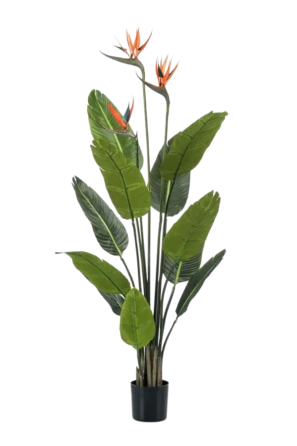 Künstliche Strelitzia - Constantin, 120 cm, Kunstbaum von aplanta, in Grün, für drinnen