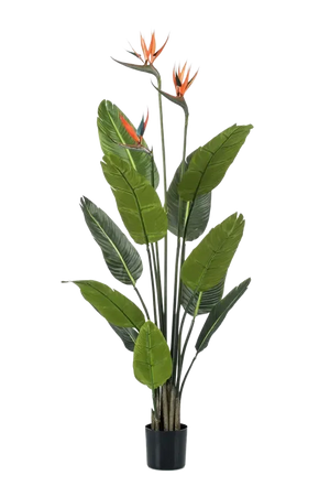 Künstliche Strelitzia - Constantin, 120 cm, Kunstbaum von aplanta, in Grün, für drinnen
