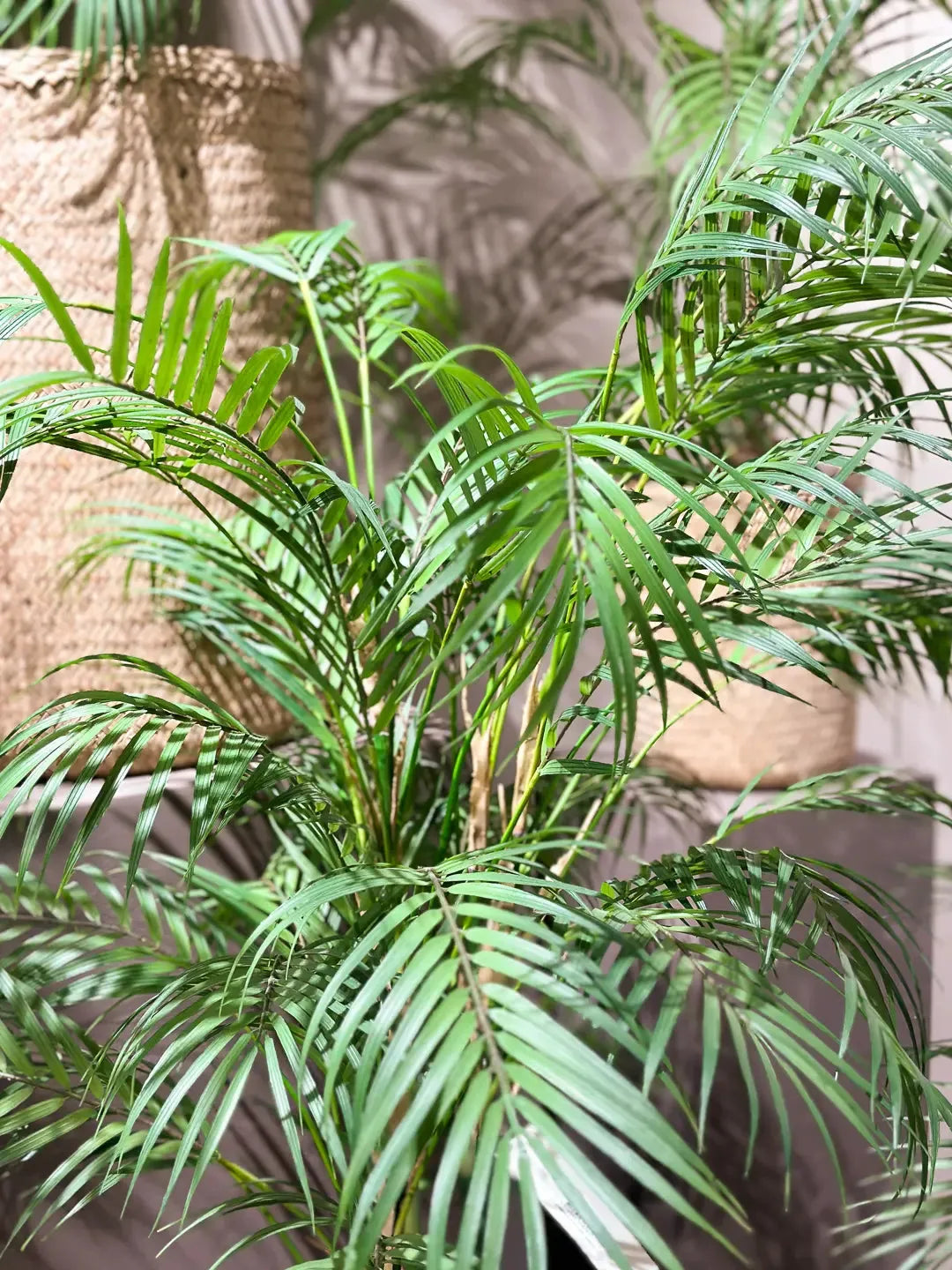 Künstliche Bergpalme - Nadine, 120 cm, Kunstbaum von aplanta, im schwarzen Topf, in Natur, für drinnen