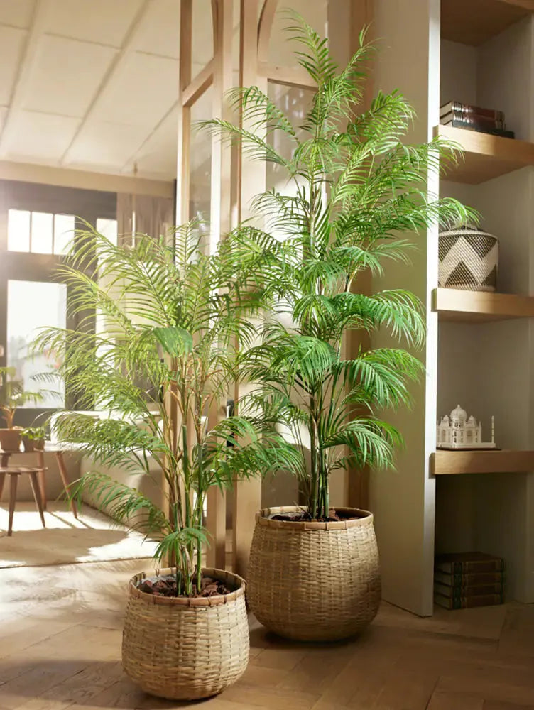 Künstliche Bergpalme - Nadine, 120 cm, Kunstbaum von aplanta, im schwarzen Topf, in Natur, für drinnen
