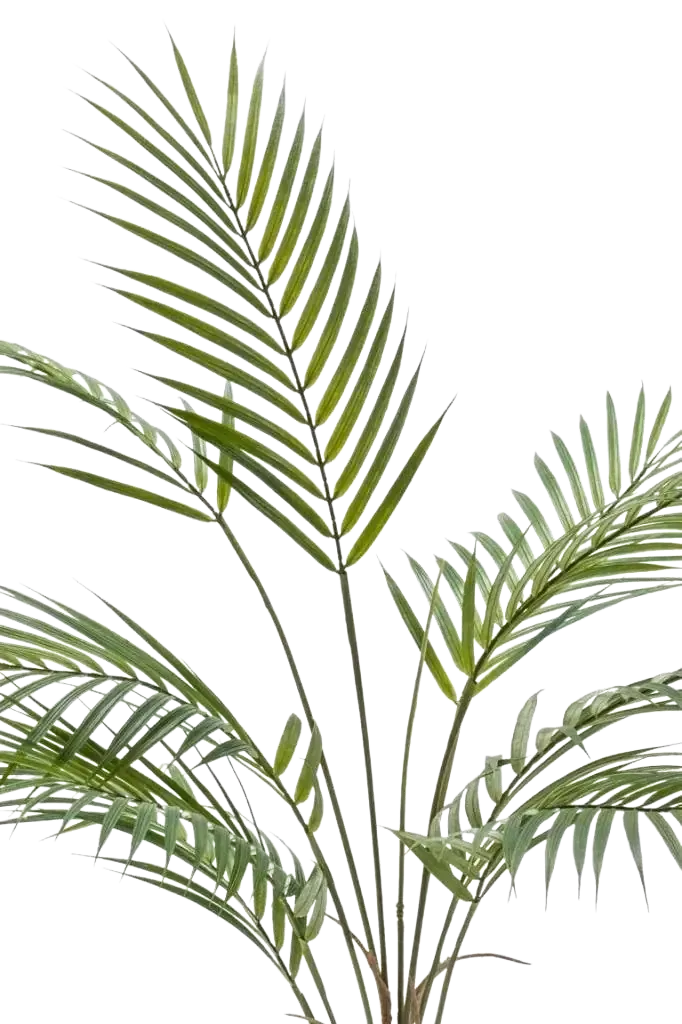 Künstliche Bergpalme - Nadine, 120 cm, Kunstbaum von aplanta, im schwarzen Topf, in Natur, für drinnen