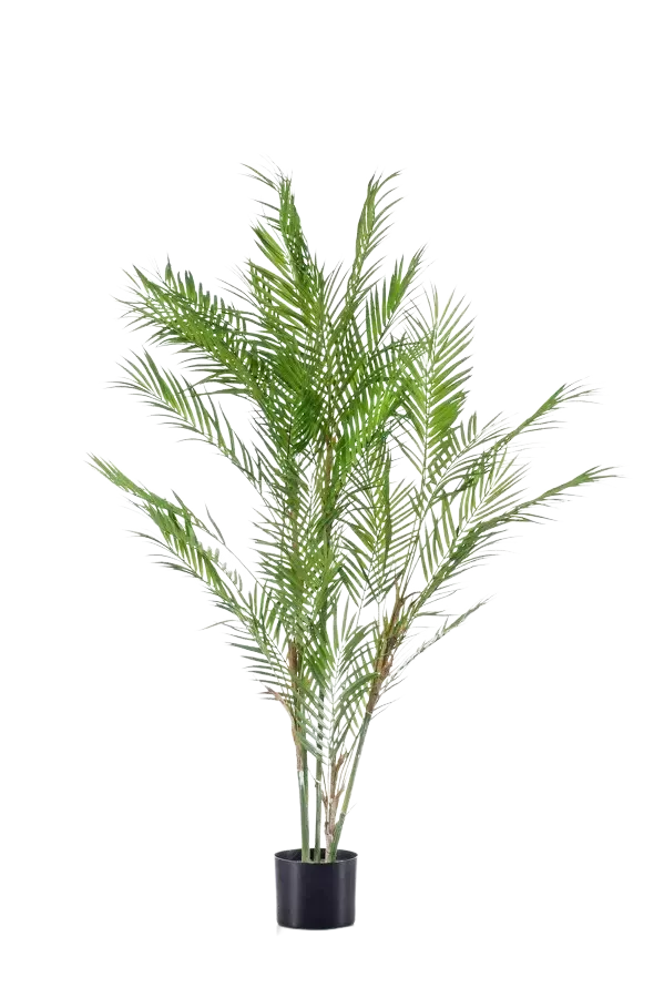 Künstliche Bergpalme - Nadine, 120 cm, Kunstbaum von aplanta, im schwarzen Topf, in Natur, für drinnen