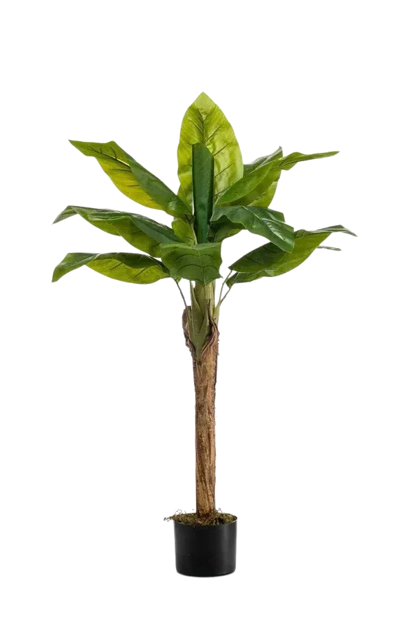 Künstlicher Bananenbaum - Giro, 110 cm, Kunstbaum von aplanta, in Natur, für drinnen