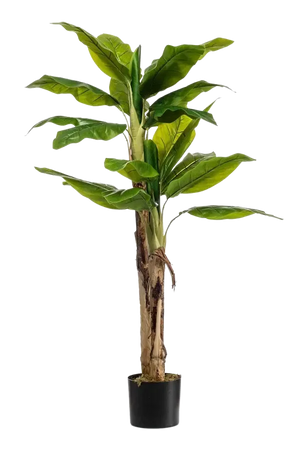 Künstlicher Bananenbaum - Maliora, 140 cm, Kunstpflanze von aplanta, UV-beständig, inkl. Startertopf, in Natur, für drinnen