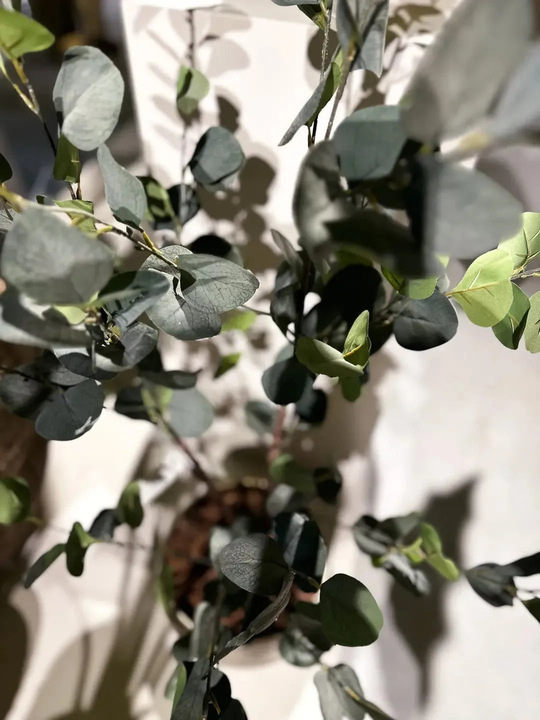 Künstlicher Eucalyptus Baum - Christopher, 120 cm, Kunstbaum von aplanta, in Natur, für drinnen