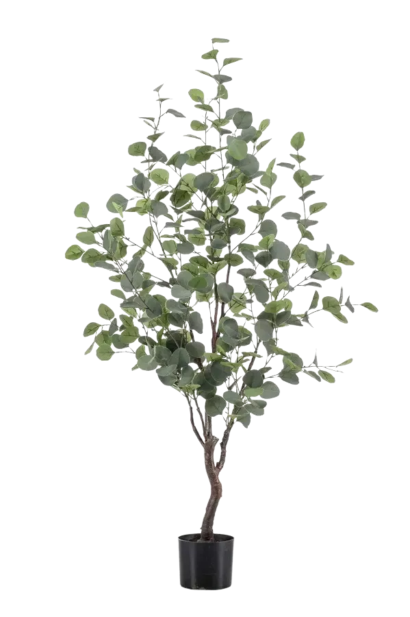 Künstlicher Eucalyptus Baum - Christopher, 120 cm, Kunstbaum von aplanta, in Natur, für drinnen