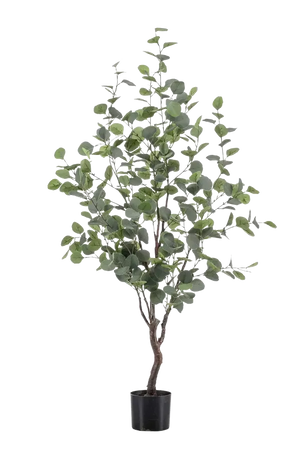 Künstlicher Eucalyptus Baum - Christopher, 120 cm, Kunstbaum von aplanta, in Natur, für drinnen