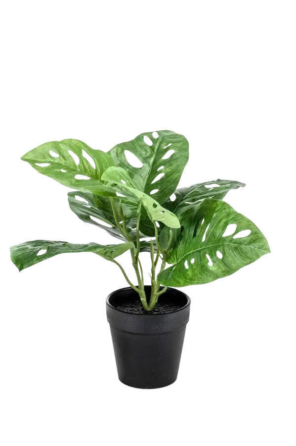 Künstliche Monstera - Jonah, 30 cm, Kunstpflanze von aplanta, im schwarzen Topf, in Natur, für drinnen