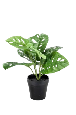 Künstliche Monstera - Jonah, 30 cm, Kunstpflanze von aplanta, im schwarzen Topf, in Natur, für drinnen