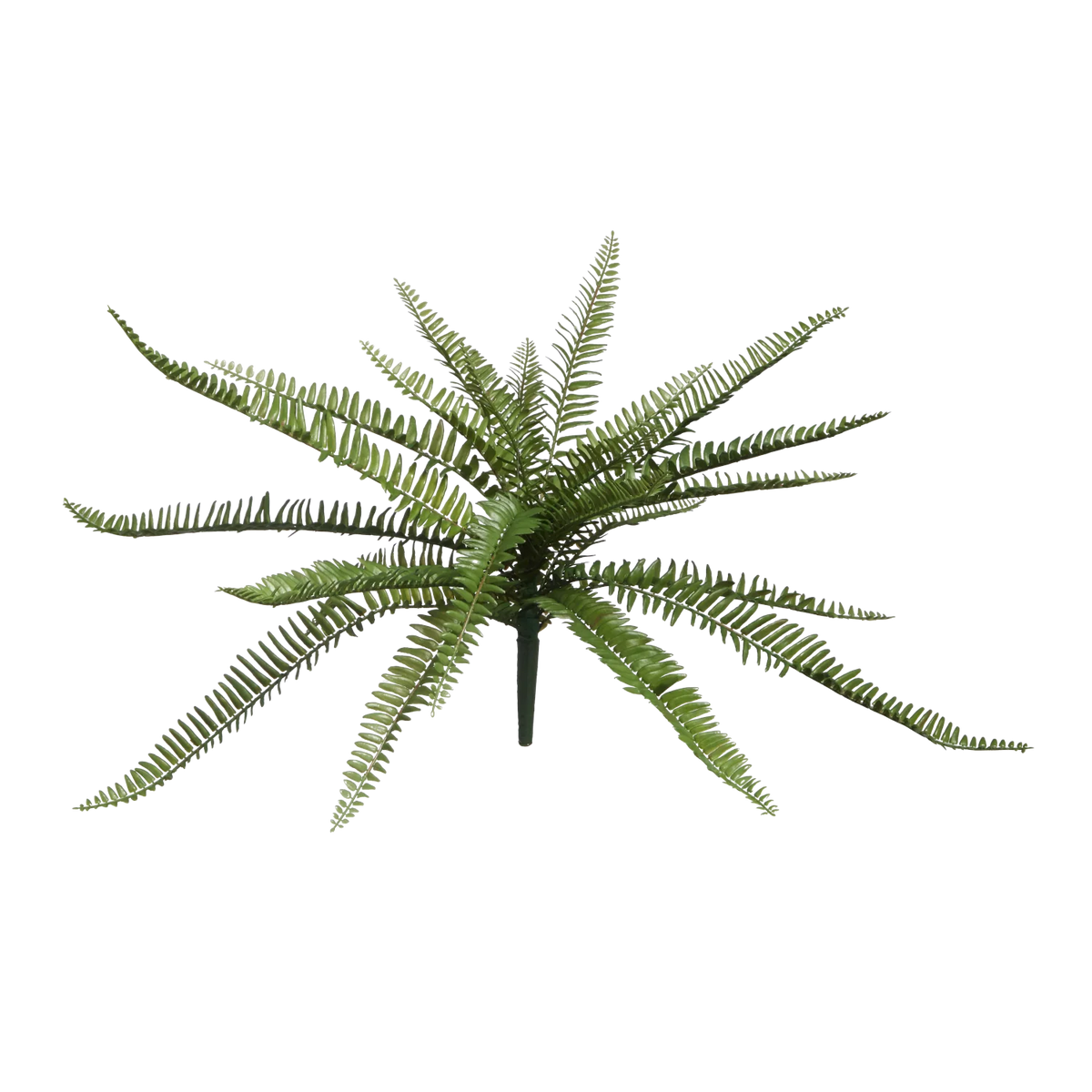 Künstlicher Schwertfarn - Bali, 51 cm, Kunstpflanze von aplanta, Steckpflanze, in Grün, für drinnen