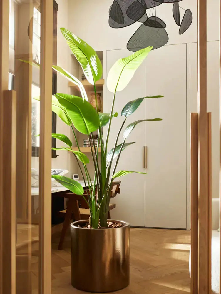 Künstliche Strelitzia - Colin, 150 cm, Kunstbaum von aplanta, in Natur, für drinnen