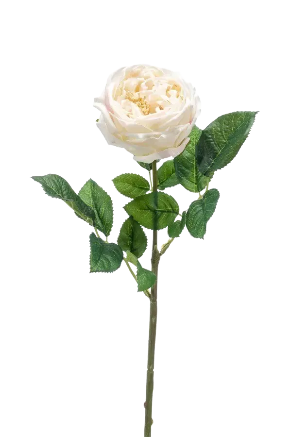 Künstliche Rose - Miranda, 60 cm, Kunstblume von aplanta, Real Touch, Steckpflanze, in Creme, für drinnen