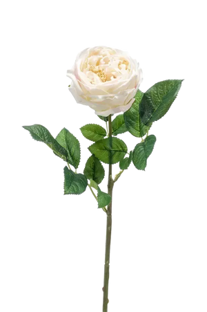 Künstliche Rose - Miranda, 60 cm, Kunstblume von aplanta, Real Touch, Steckpflanze, in Creme, für drinnen