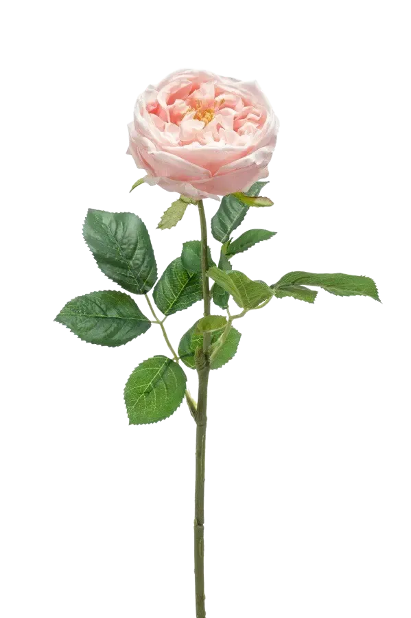 Künstliche Rose - Samantha, 60 cm, Kunstblume von aplanta, Real Touch, Steckpflanze, in Pfirsich, für drinnen