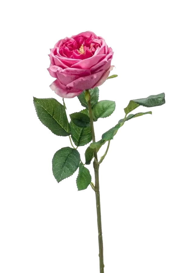 Künstliche Rose - Charlotte, 60 cm, Kunstblume von aplanta, Real Touch, Steckpflanze, in Altes Pink, für drinnen