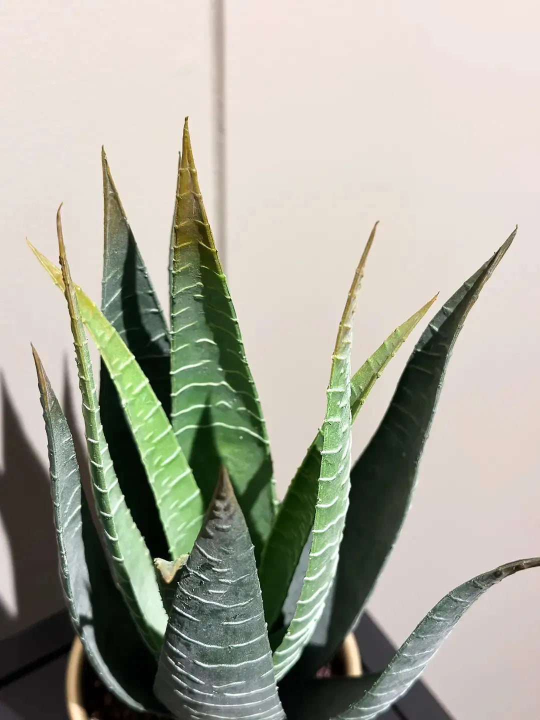 Künstliche Aloe - Patty, 30 cm, Kunstpflanze von aplanta, im schwarzen Topf, in Natur, für drinnen