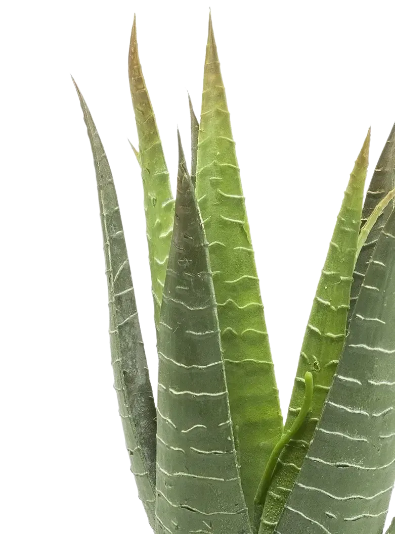 Künstliche Aloe - Patty, 30 cm, Kunstpflanze von aplanta, im schwarzen Topf, in Natur, für drinnen