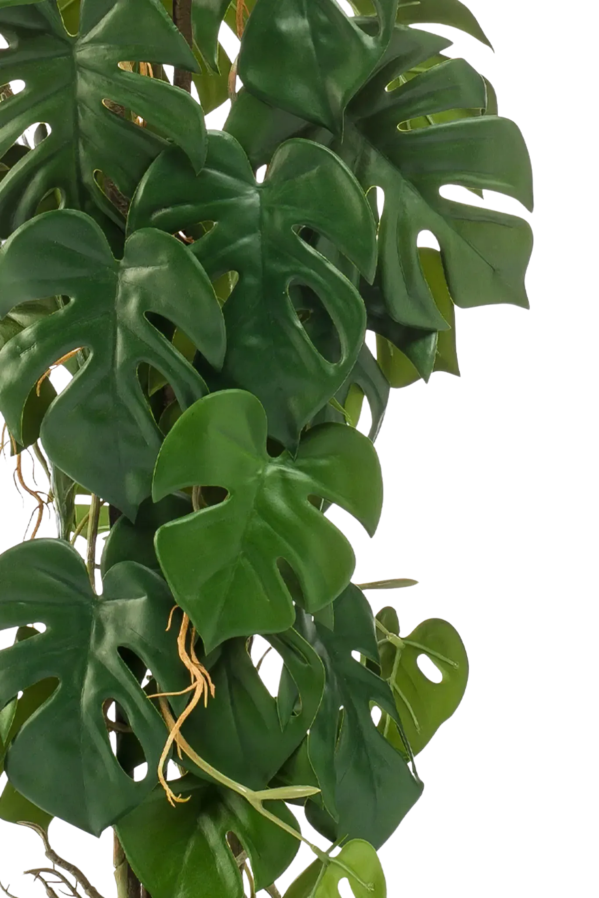 Künstliche Monstera - Luise, 75 cm, Kunstpflanze von aplanta, im schwarzen Topf, in Natur, für drinnen