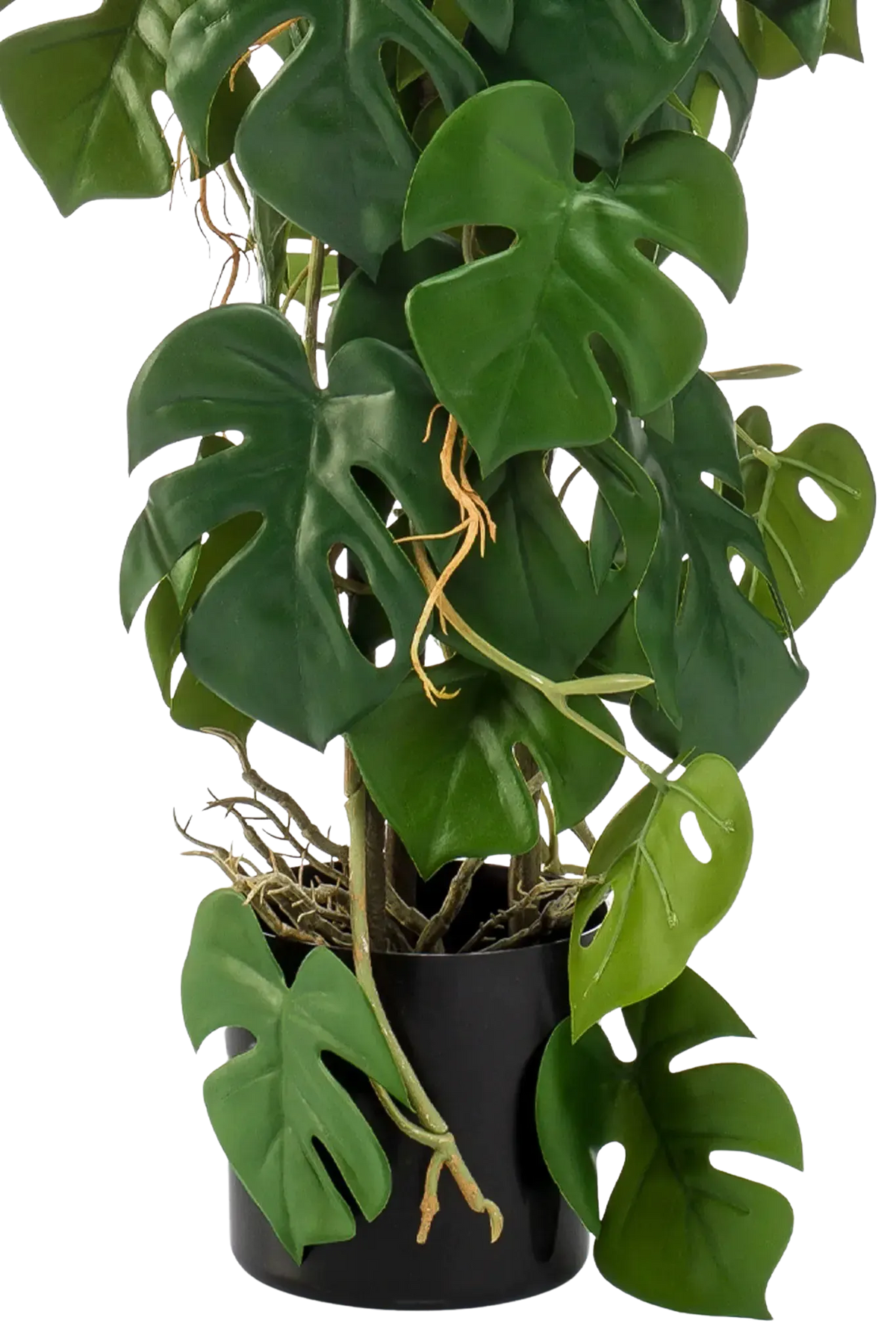 Künstliche Monstera - Luise, 75 cm, Kunstpflanze von aplanta, im schwarzen Topf, in Natur, für drinnen