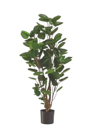 Künstliche Fiederaralie - Milan, 105 cm, Kunstbaum von aplanta, im schwarzen Topf, in Natur, für drinnen