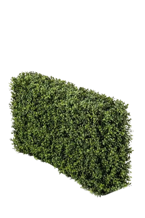 Künstliche Buchsbaumhecke - Jannis, 50 cm, Kunstbaum von aplanta, UV-beständig, in Natur, für draußen