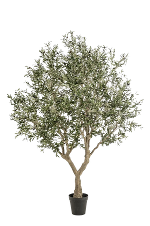 Künstlicher Olivenbaum - Mars, 250 cm, Kunstbaum von aplanta, in Grün, für drinnen