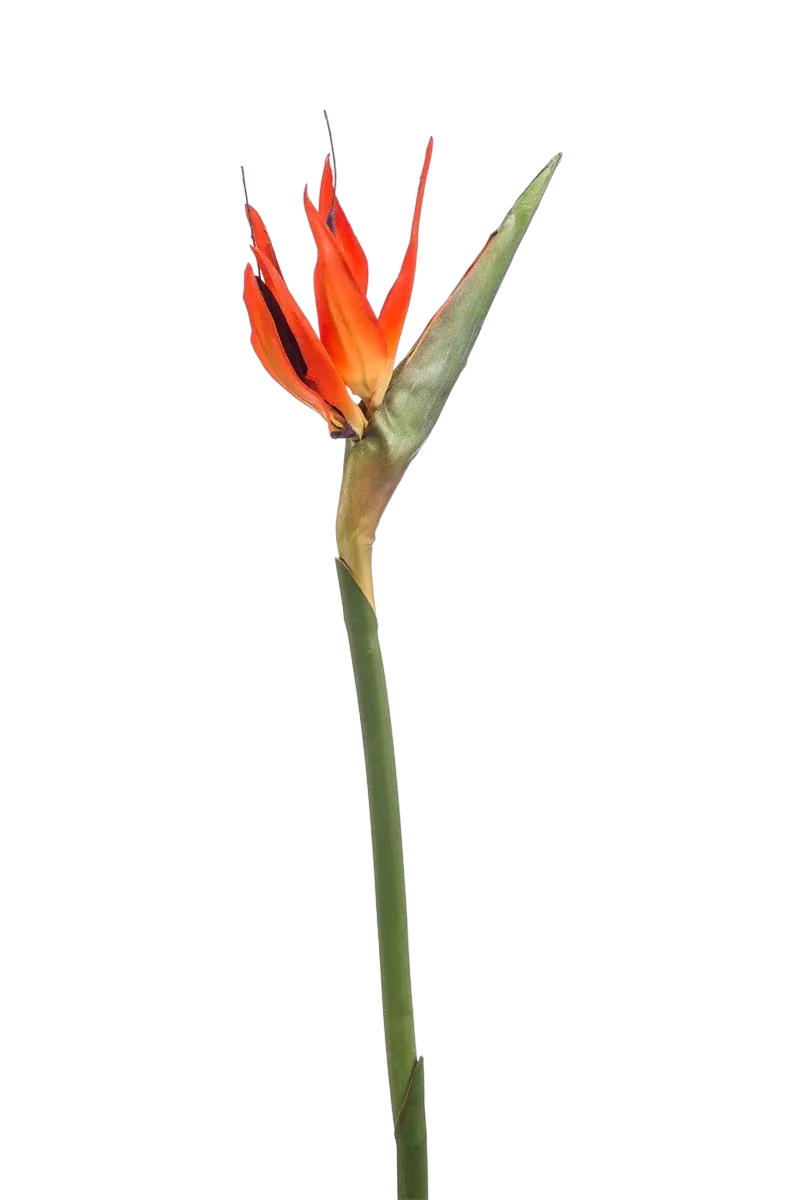 Künstlicher Strelitzia Zweig - Olga, 85 cm, Kunstblume von aplanta, in Orange, für drinnen