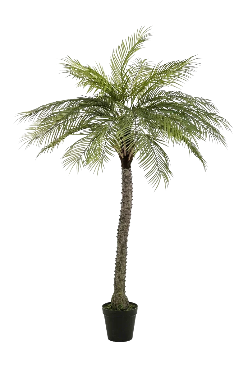 Künstliche Phoenix Palme - Marun, 220 cm, Kunstbaum von aplanta, UV-beständig, in Grün, für draußen
