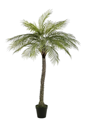 Künstliche Phoenix Palme - Marun, 220 cm, Kunstbaum von aplanta, UV-beständig, in Grün, für draußen